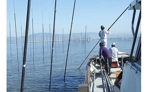 【定期便（3回）1・5・9月発送】初摘み佐賀のり 贅沢プレミアム焼のり『大パック』2袋セットJ：B500-009