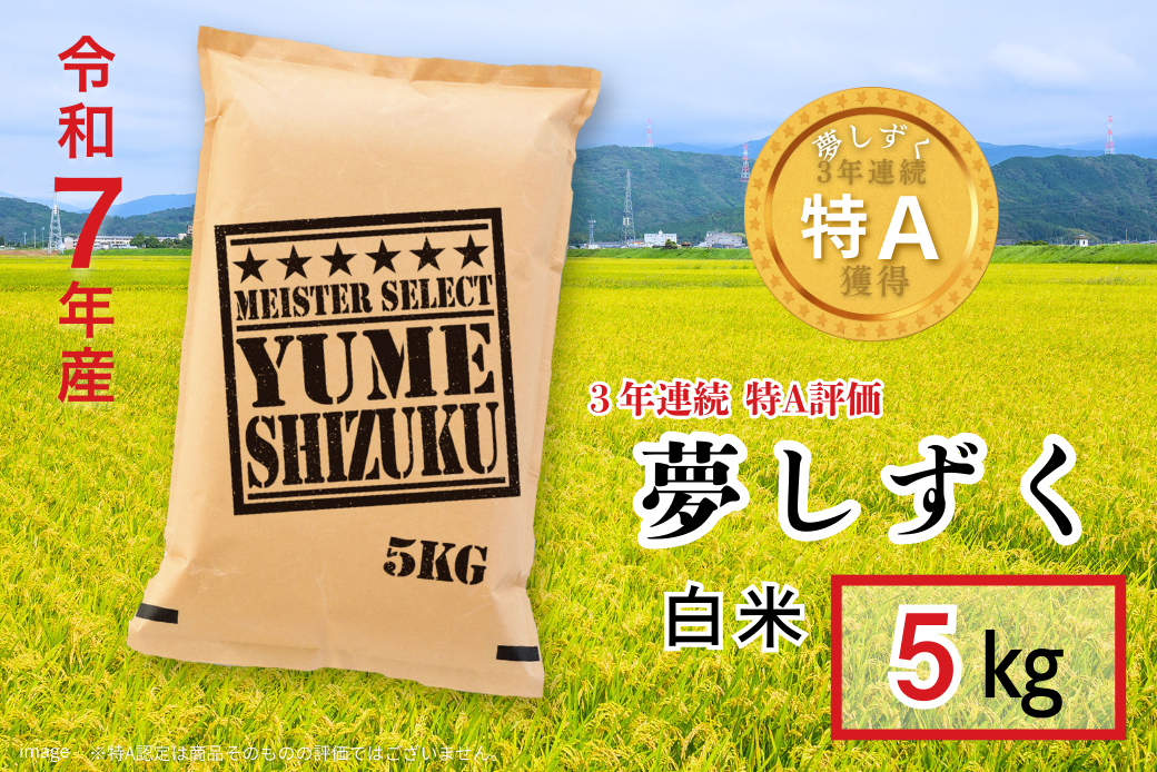 五つ星お米マイスターが厳選！令和7年産 佐賀県産 夢しずく 白米 5kg おこめ 米 ：B175-018
