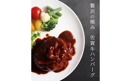 【奇数月定期便（年6回）】佐賀牛入りハンバーグ 10個：B895-003