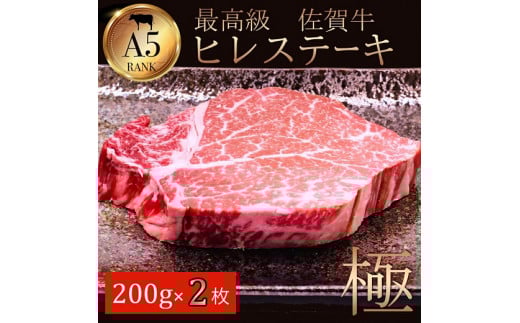 佐賀牛ヒレ肉 200g×2：B520-001