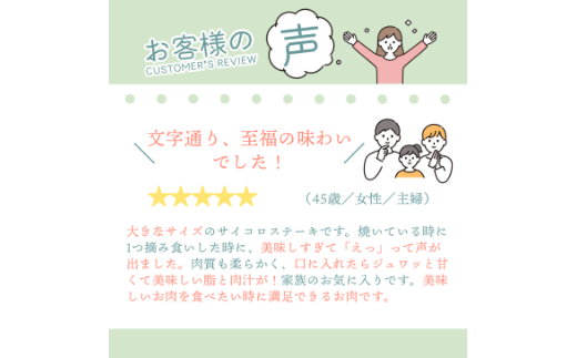 佐賀牛 サイコロステーキ 600g：B200-065