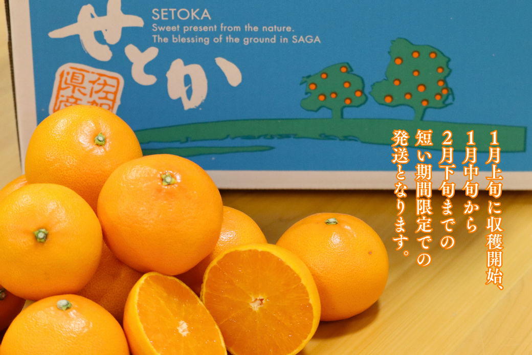 ã1æäžæ¬ïœ2æäžæ¬çºéãäœè³åžå€§åçºç£ã¿ãããããšããïŒB150-077