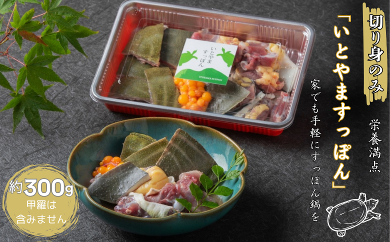 【切り身のみ】栄養満点の「いとやますっぽん」ですっぽん鍋を 300g 佐賀県産 スッポン 冷凍 鍋 カット済み 国産 簡単調理 美容 健康 コラーゲン 九州 佐賀県 佐賀市 ヤマト水産：B205-011