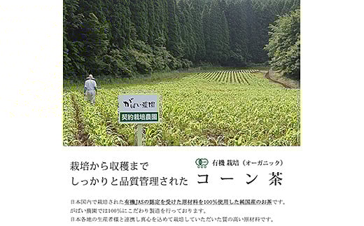 有機栽培 コーン茶：A095-017