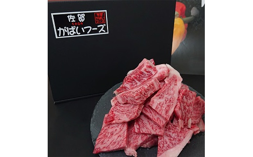 佐賀牛はしっこちゃん1000：B275-007