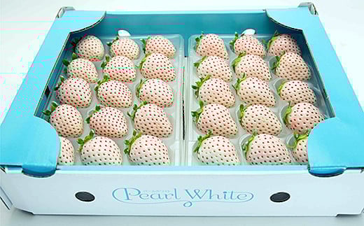 ãå®æäŸ¿5åãäœè³çç£ ïŒçš®ãã¡ãã2æã6æçºéãïŒB650-003