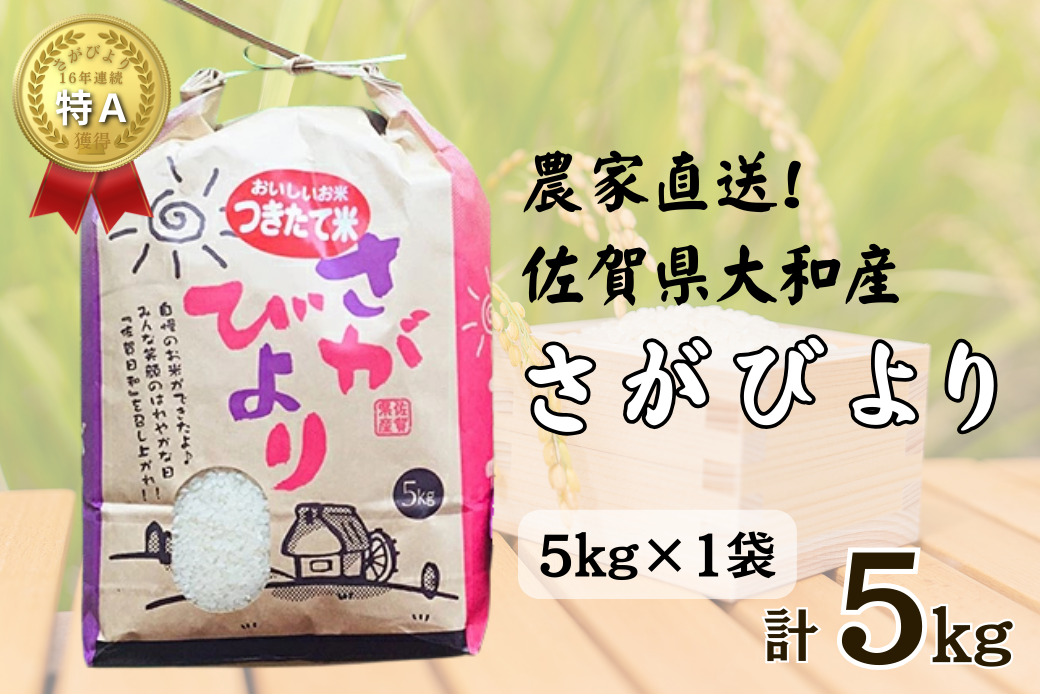 佐賀県大和産「さがびより」5kg 米 農家直送：B170-033