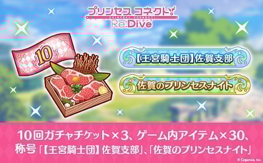 【ふるさと納税限定】Cygames プリコネR ゲーム内アイテムセット【cyg2】：B360-005