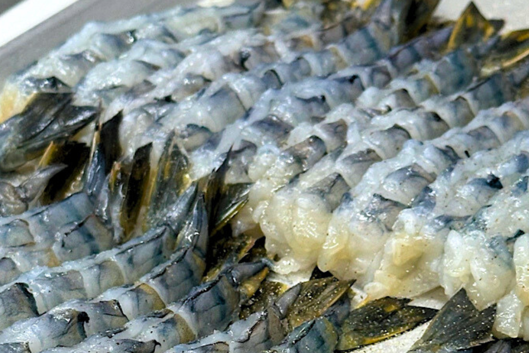 老舗鮮魚店のぷりぷりえびフライ（8本）：A090-024