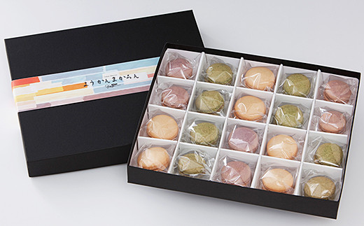 ハルツのようかんまかろん：B205-004