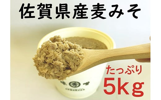 佐賀県産　麦みそ5kg：B220-019
