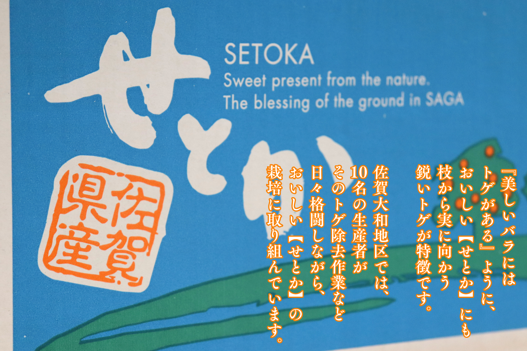 ã1æäžæ¬ïœ2æäžæ¬çºéãäœè³åžå€§åçºç£ã¿ãããããšããïŒB150-077