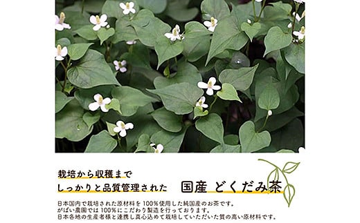 蝗ス逕」 縺ゥ縺上□縺ソ闌カシ哂085-027