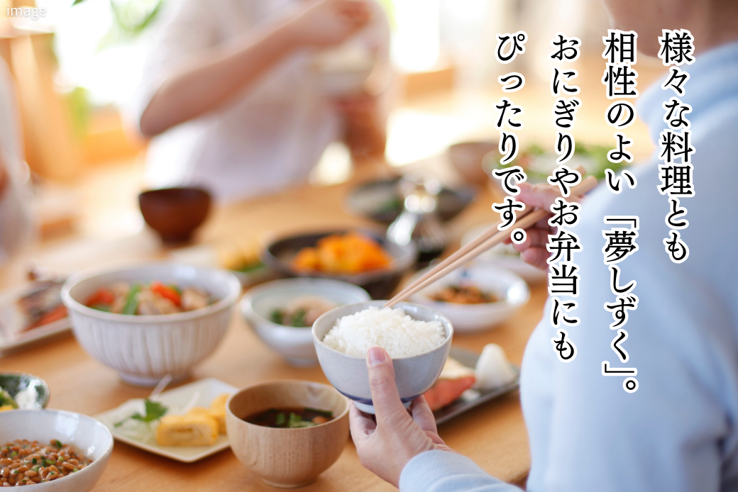 莉、蜥7蟷エ逕」 菴占ウ逵檎肇縲悟、「縺励★縺上5kg 縺顔アウ 繧ウ繝。 縺薙aシ咤120-067