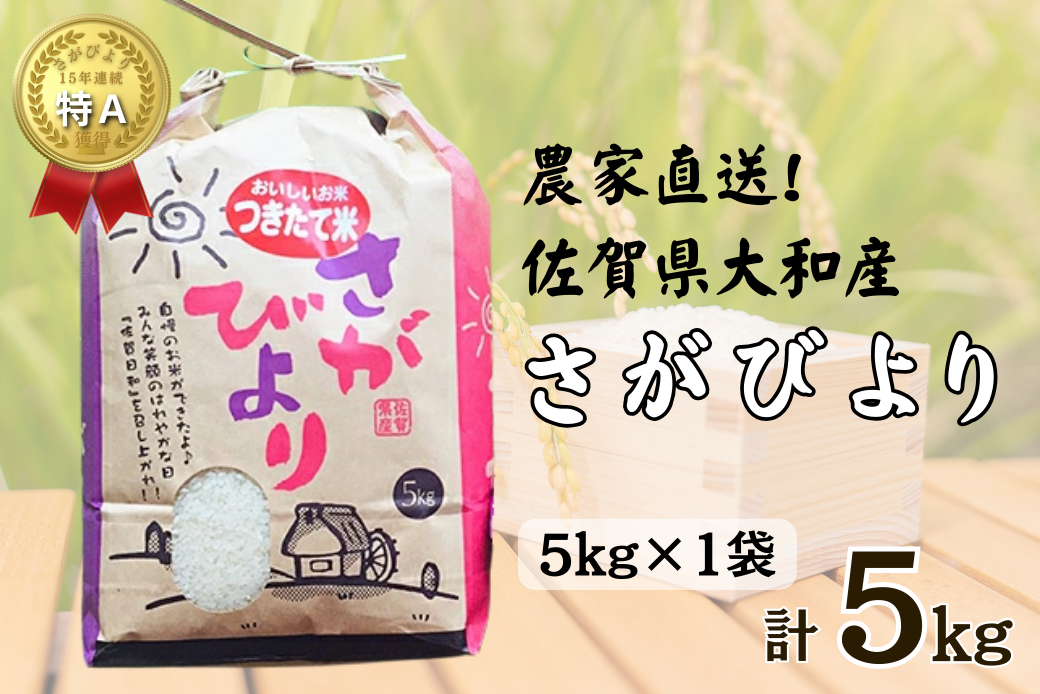 佐賀県大和産「さがびより」5kg 米 農家直送：B170-033
