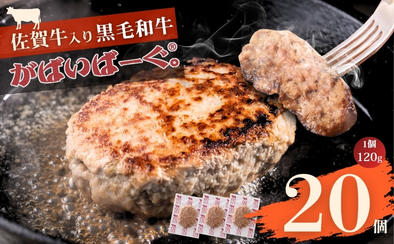 äœè³çå
¥ãããã°ãã°ãŒã®ã120gÃ20åïŒ2.4kg) ãã³ããŒã° ã®ãã èè ãã ãµã¬ïŒB240-035