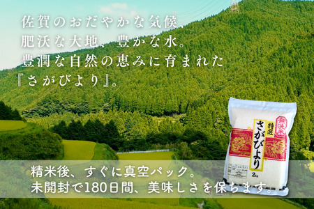 五つ星お米マイスターが厳選！【無洗米】さがびより 2kg（真空パック）：B110-058