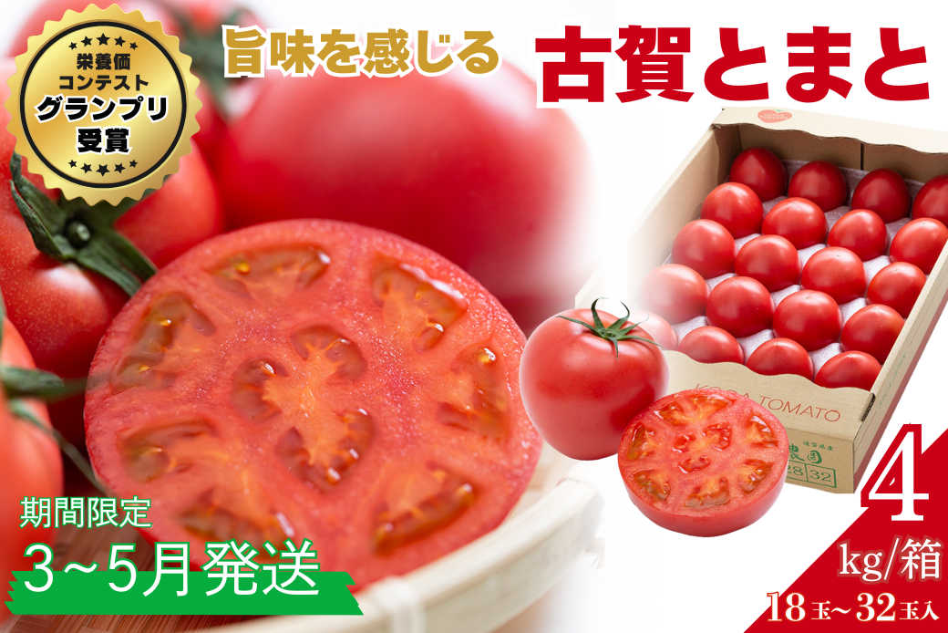 【期間限定】栄養価コンテストでグランプリを受賞した「古賀とまと」 3月～5月発送 トマト 野菜 産地直送 佐賀県 佐賀市：B290-008