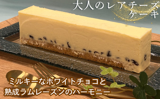 ラムレーズンとホワイトチョコのレアチーズ：B120-038