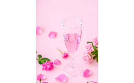 飲ããã© ã©ãŽã£ã¢ã³ããŒãºïŒB270-005