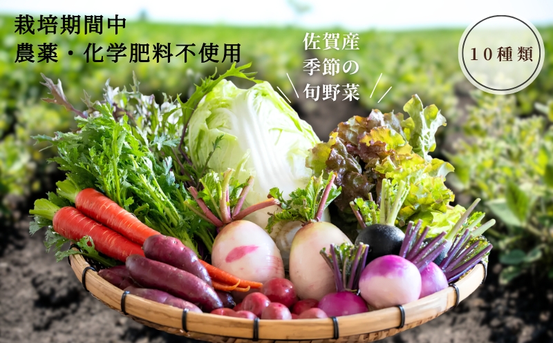 佐賀産季節の旬野菜10種類（栽培期間中農薬・化学肥料不使用）：B120-036