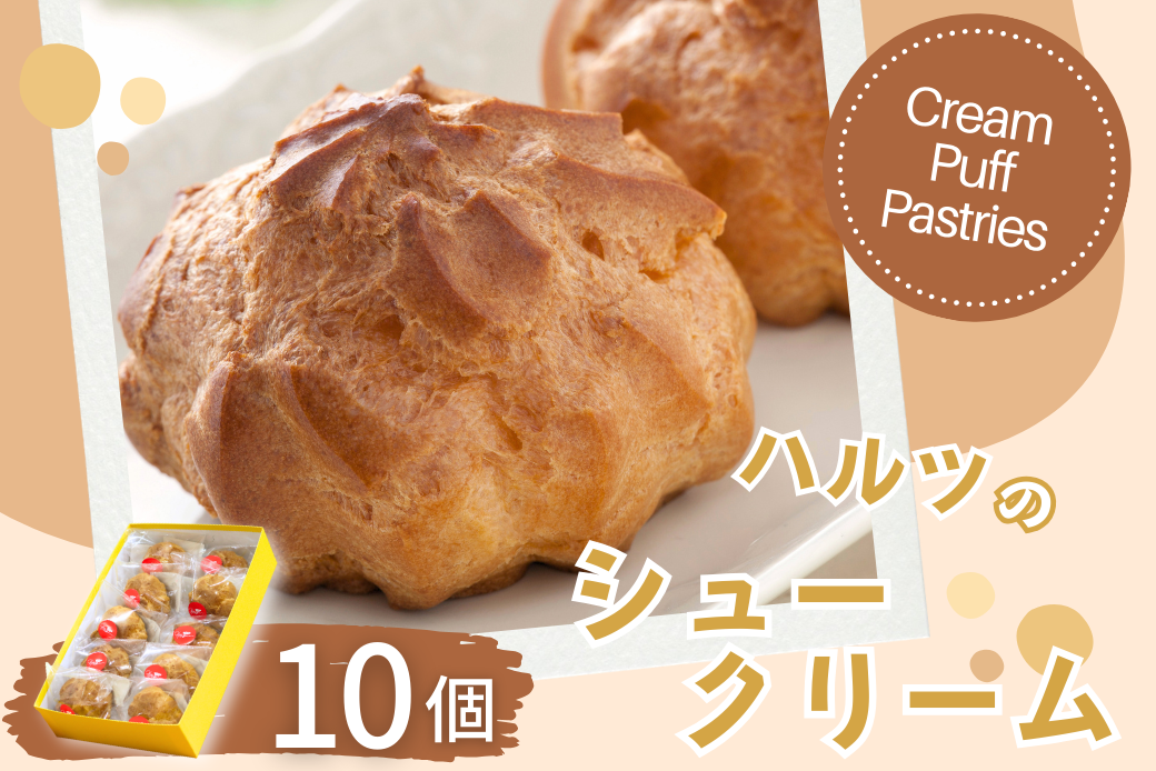 ハルツのシュークリーム 10個 創業40年 スイーツ 洋菓子 お菓子 おやつ デザート 小分け 個包装 ご褒美 お取り寄せ 人気 冷凍配送 送料無料 佐賀県 佐賀市：B120-073