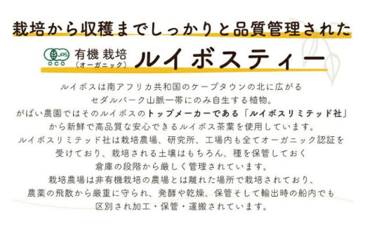 繧ェ繝シ繧ャ繝九ャ繧ッ繝ォ繧、繝懊せ繝繧」繝シシ4蛟九そ繝繝茨シ会シ咤190-010