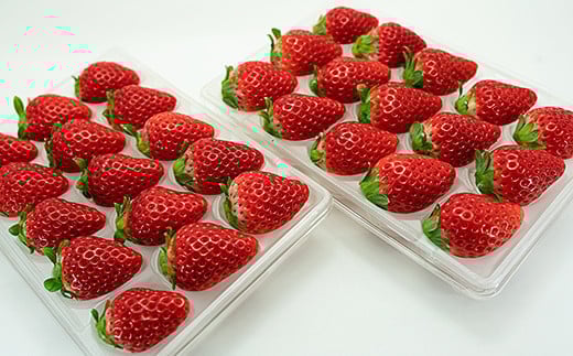 ãå®æäŸ¿5åãäœè³çç£ ïŒçš®ãã¡ãã2æã6æçºéãïŒB650-003