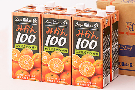 さがみかん100 1L×6本：B125-029