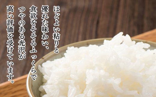 新米 令和7年 佐賀県産 特A米 食べ比べセット「さがびより」5kg「夢しずく」5kg：B240-028