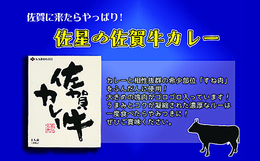 希少部位使用　佐賀牛カレー4個セット：B150-022