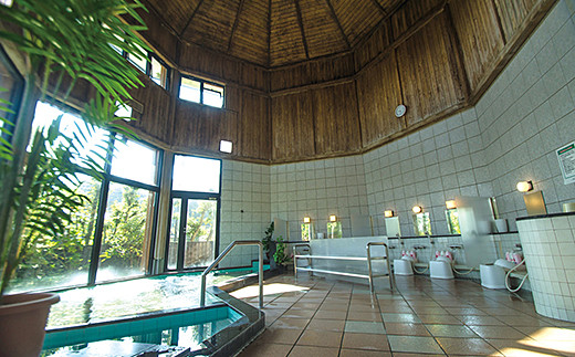 熊の川温泉 ちどりの湯 入浴券10枚＋家族風呂券4枚：B430-004