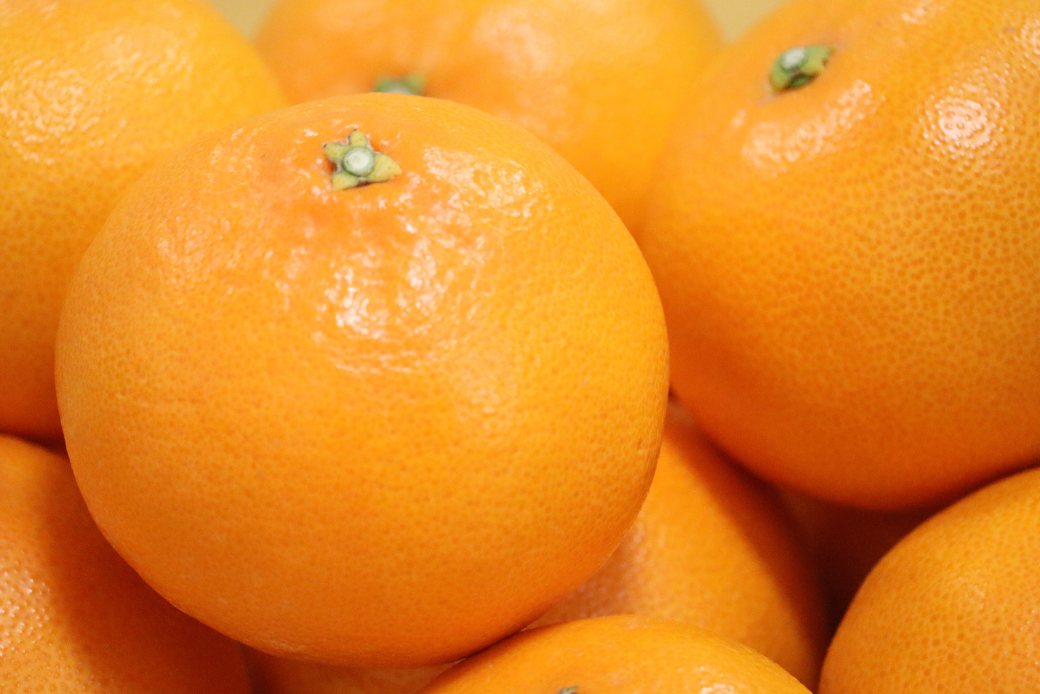 ã1æäžæ¬ïœ2æäžæ¬çºéãäœè³åžå€§åçºç£ã¿ãããããšããïŒB150-077