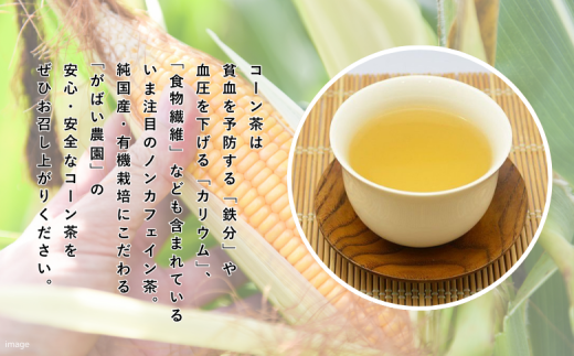 有機栽培 コーン茶（3個セット）：B210-004