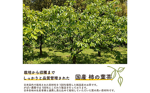 国産 柿の葉茶（3個セット）：B180-011