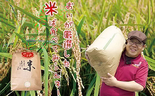 【定期便12回】三瀬村産「コシヒカリ」5kg×2袋 お米 白米 精米 ：C389-004