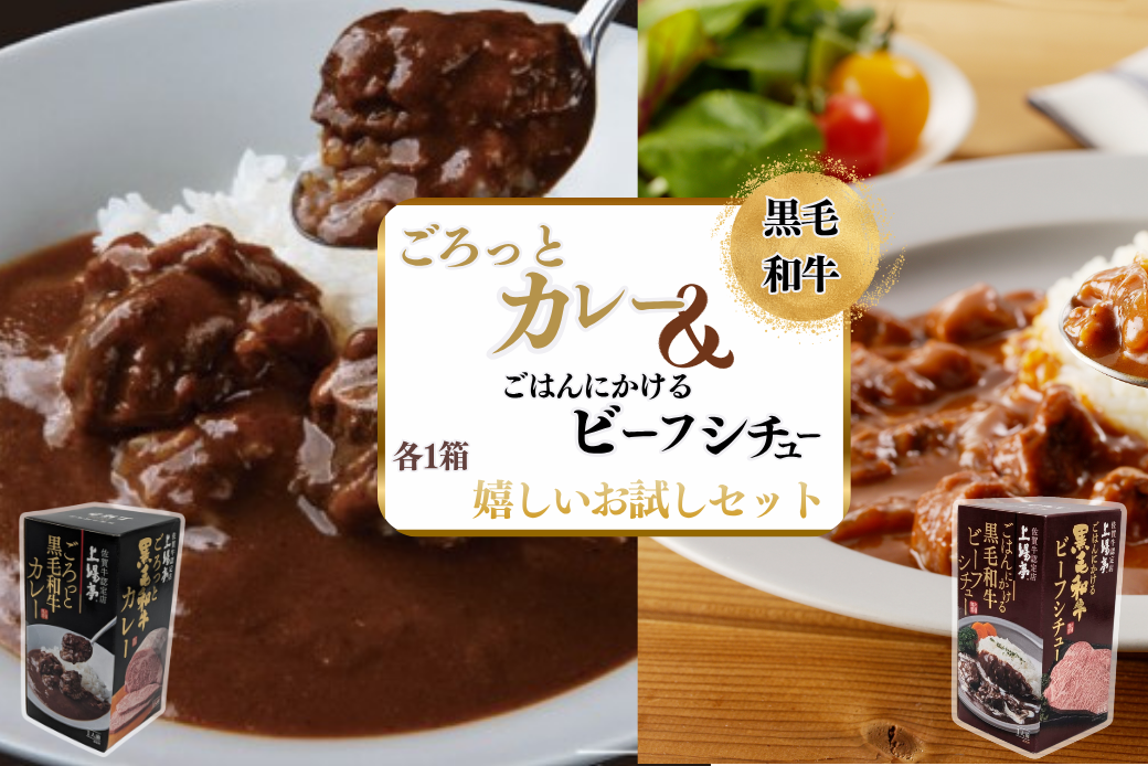 ごろっとカレー・ビーフシチューセット 佐賀牛 カレー ビーフシチュー レトルト 湯煎 レンジ調理 簡単 ：A080-012