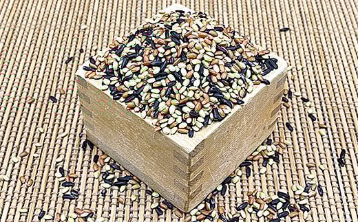 佐賀県産古代米3色MIX 4kg：B270-002