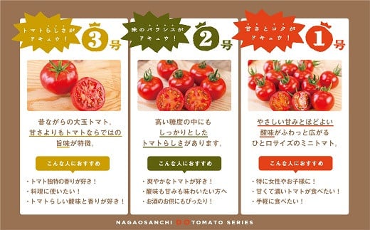 【人気】甘さとコクがド級！ドトマト1号 とまと 旬 野菜 産直 佐賀市：B140-010