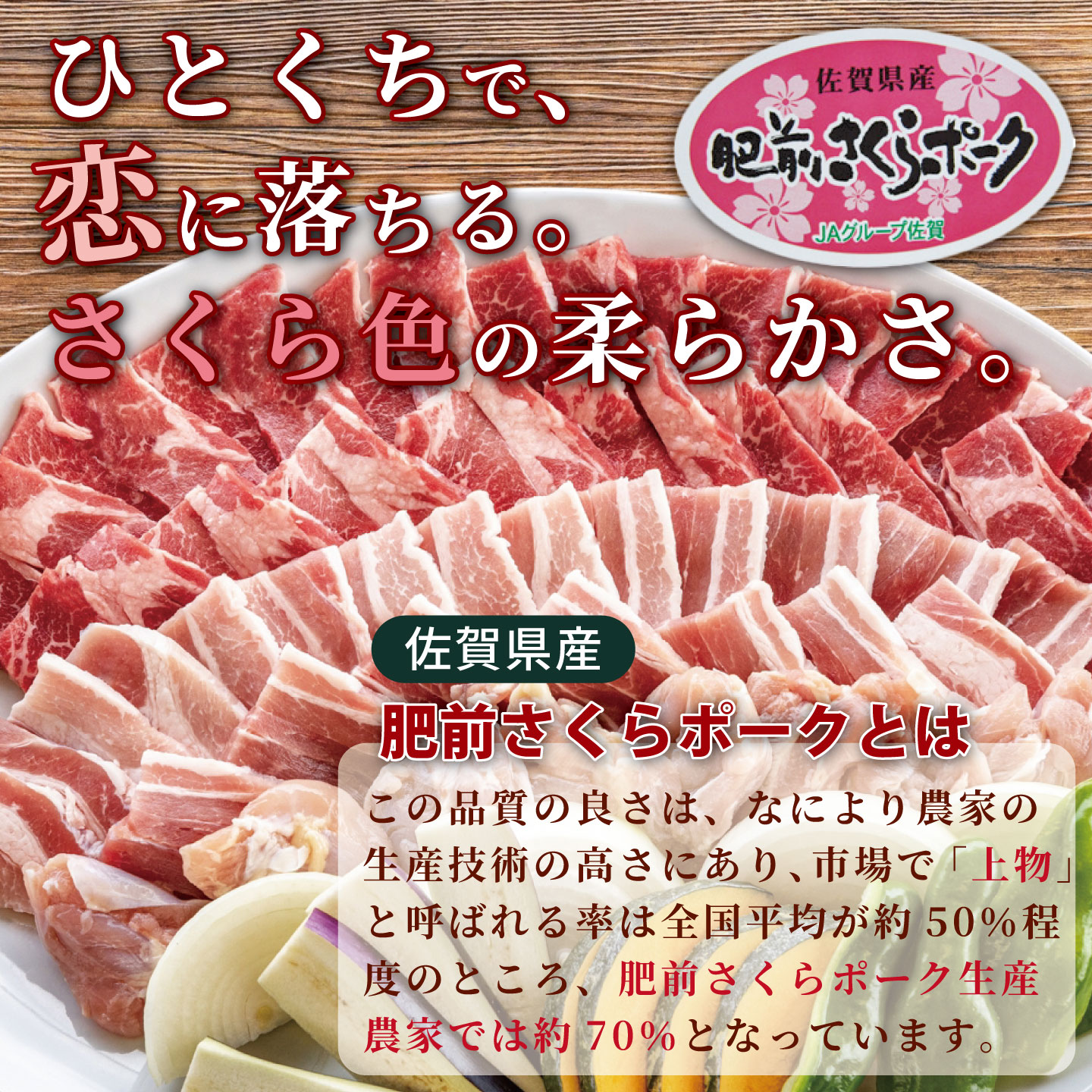è¥åãããããŒã¯ çŒèã»ããïŒB245-008