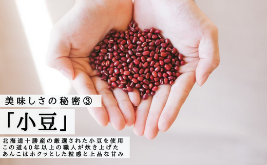 累計100万個以上販売 どら焼き さがどら(10個入)：B115-028