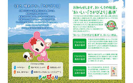 什å7å¹Žç£ äœè³çç£ ããã³ãã çœç±³ 10kgïŒ5kgÃ2è¢ïŒããã ç±³ ïŒB320-014