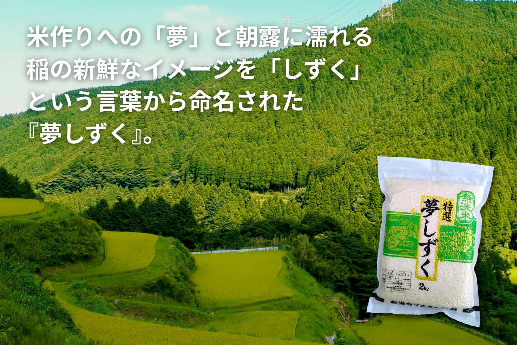 五つ星お米マイスターが厳選！【無洗米】夢しずく 2kg×4袋（真空パック）：B350-020