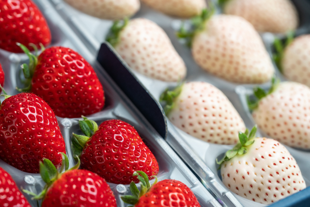 佐賀県産いちご さがほのか＆パールホワイト 紅白セット：B140-008