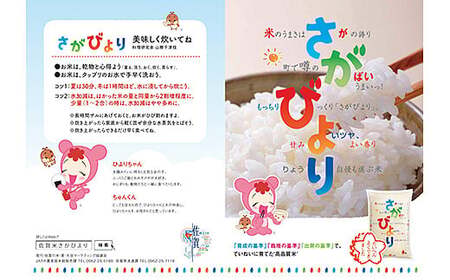 【新米】令和7年産 佐賀県産 さがびより 白米 5kg おこめ 米 ：B170-023