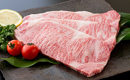 佐賀牛サーロイン420gとローストビーフ500g：B530-001