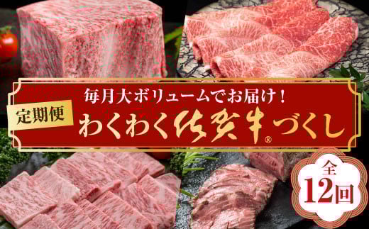 【定期便12回】わくわく佐賀牛づくし：D102-001