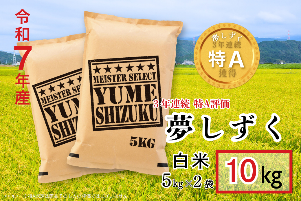 五つ星お米マイスターが厳選！令和7年産 佐賀県産 夢しずく 白米 10kg（5kg×2袋）おこめ 米 ：B320-016