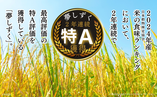 新米 令和7年 佐賀県産「夢しずく」10kg（5kg×2袋）：B240-026