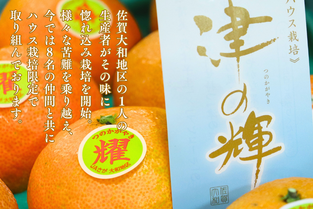 【12月～2月上旬発送】佐賀市大和町産みかん「津の輝」 温州みかん 佐賀みかん 贈答 ギフト：B150-076